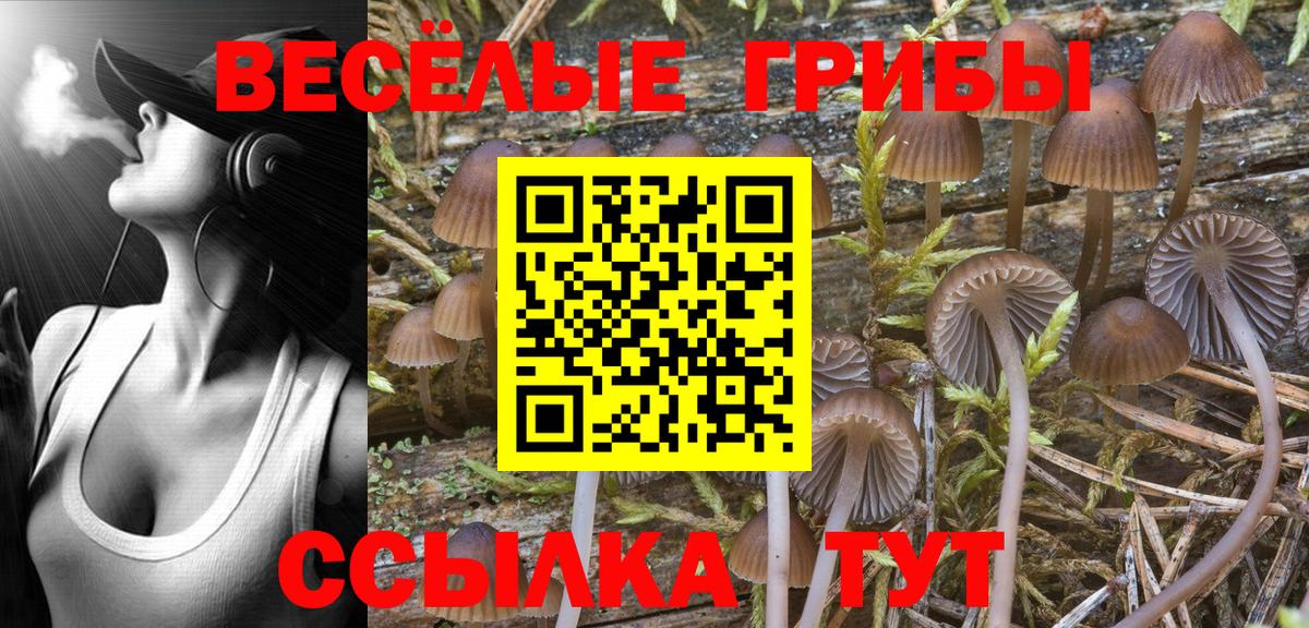Новоалтайск  Псилоцибиновые грибы MAGIC MUSHROOMS  Вход с VPN 