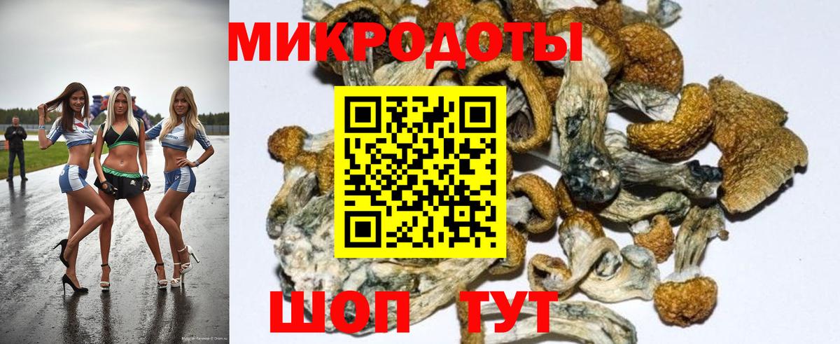 Псилоцибиновые грибы Magic Shrooms Новоалтайск